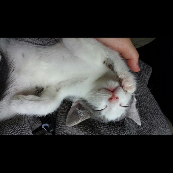 Meet Your Posher, Michelle - Picture 7 of 8